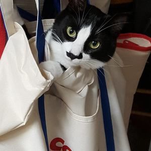 Meet your Posher, Lesa